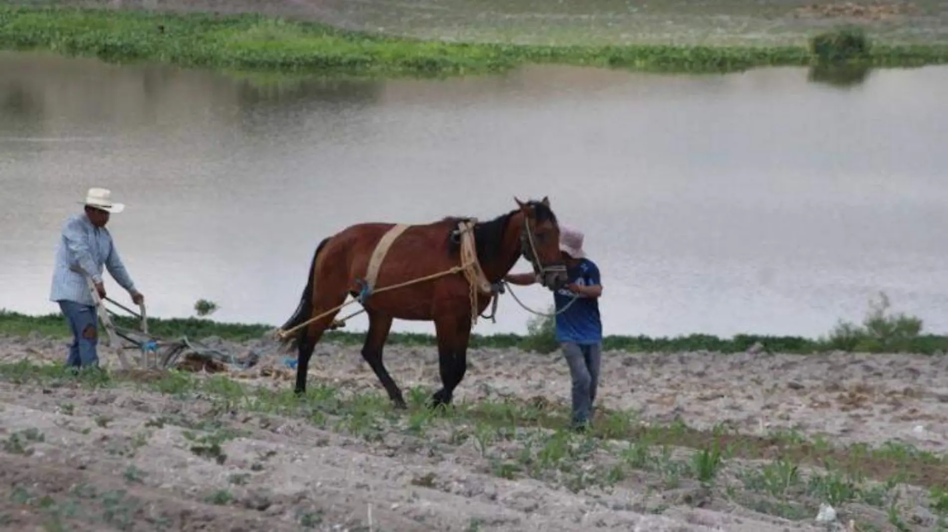 agricultores