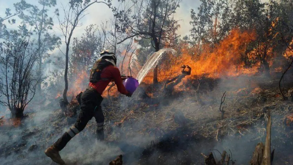 incendio forestal