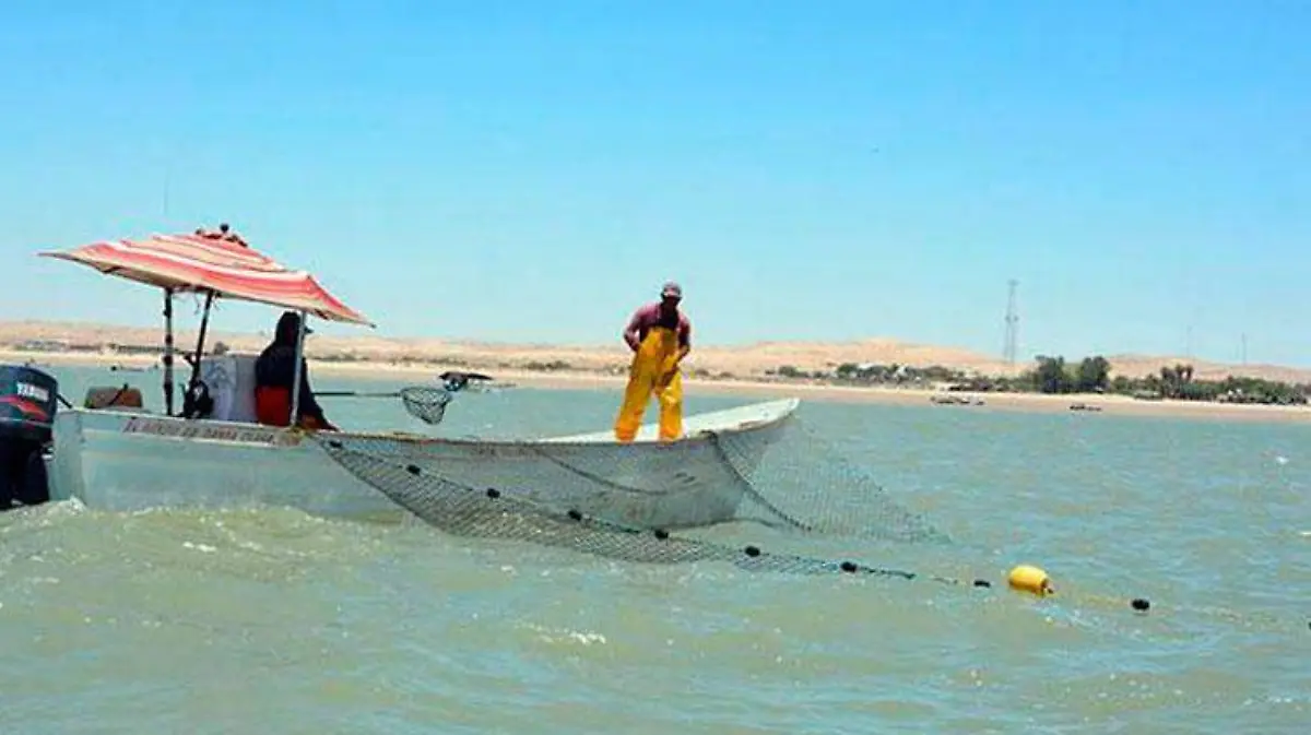 pescadores