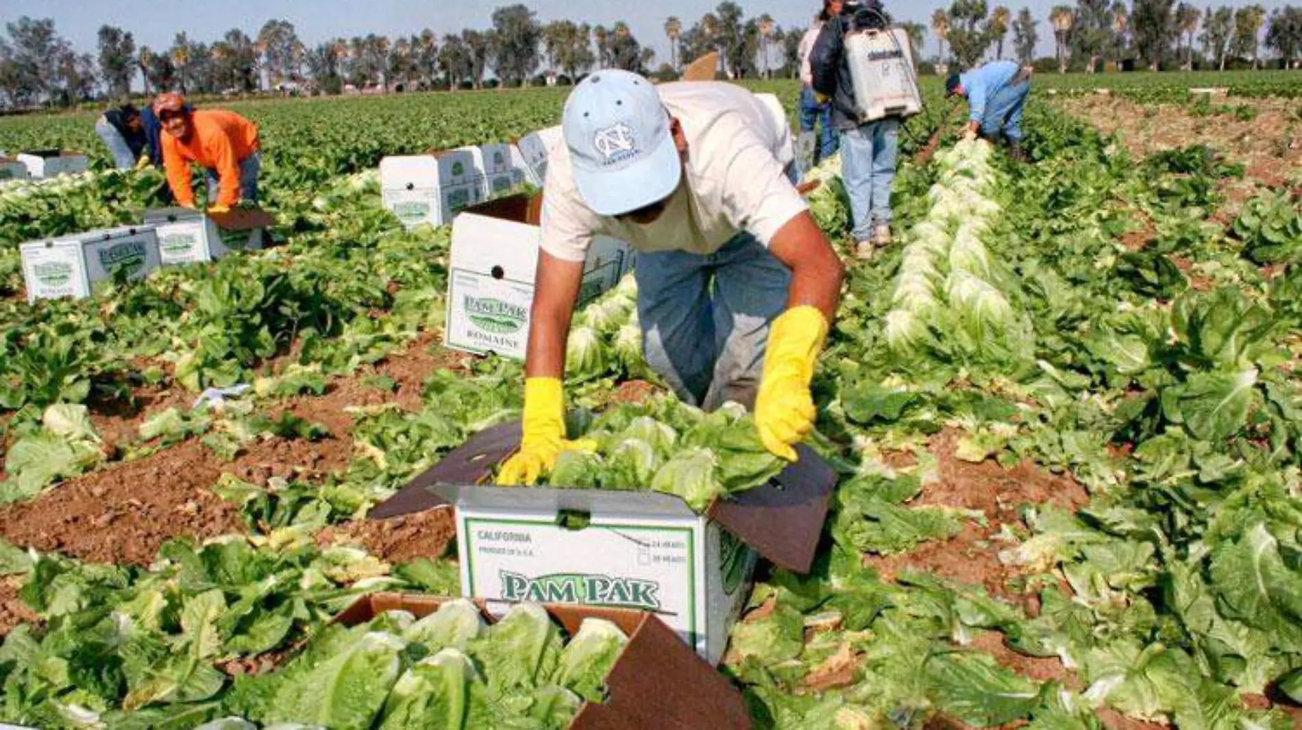 trabajos