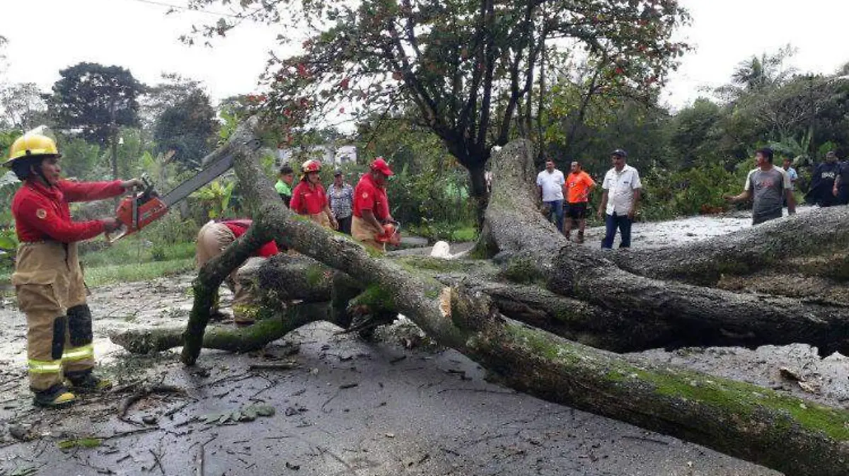TABASCO Fotos Carlos Pérez y Javier Chávez