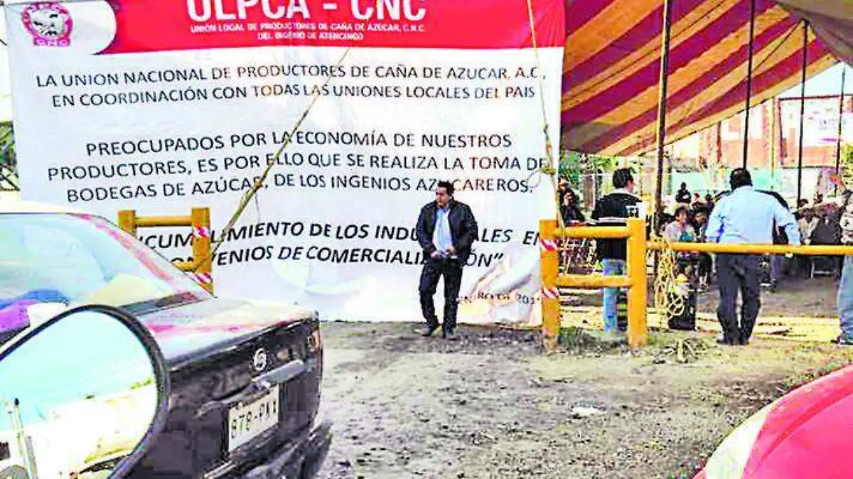 Productores Caña