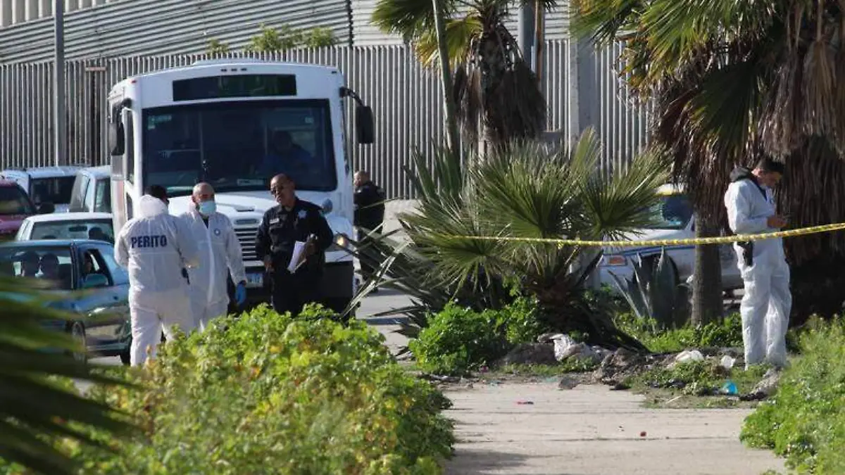 asesinatos tijuana especial (4)