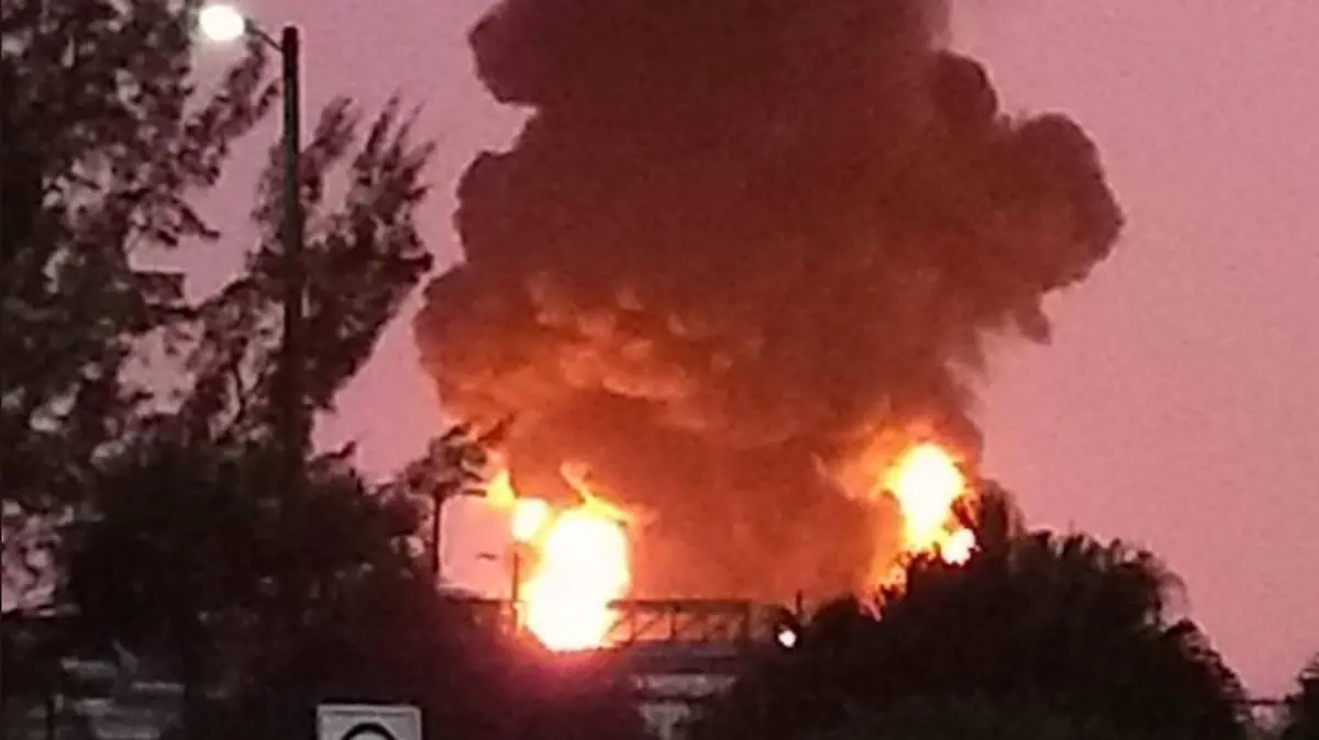 pajaritos-incendio-1