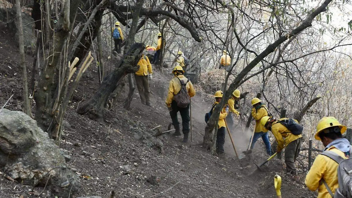 incendio tepoztlan GOBIERNO MORELOS