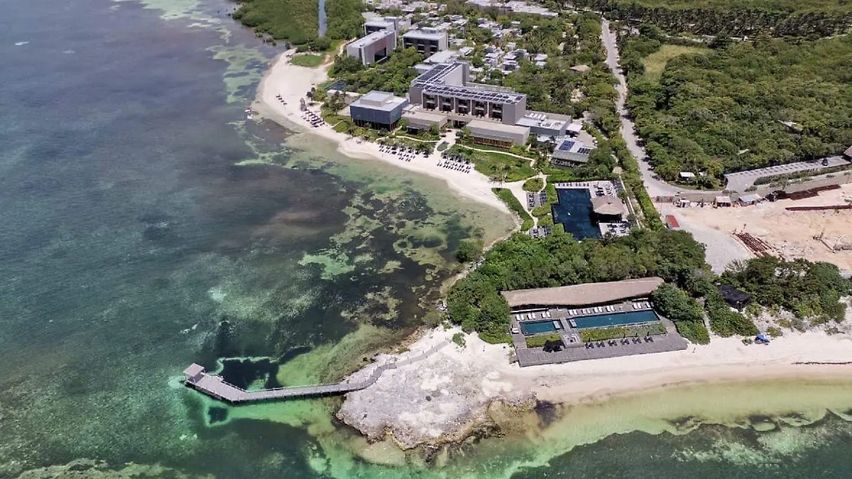 Con block hecho de sargazo, edificarán casa del migrante en Cancún