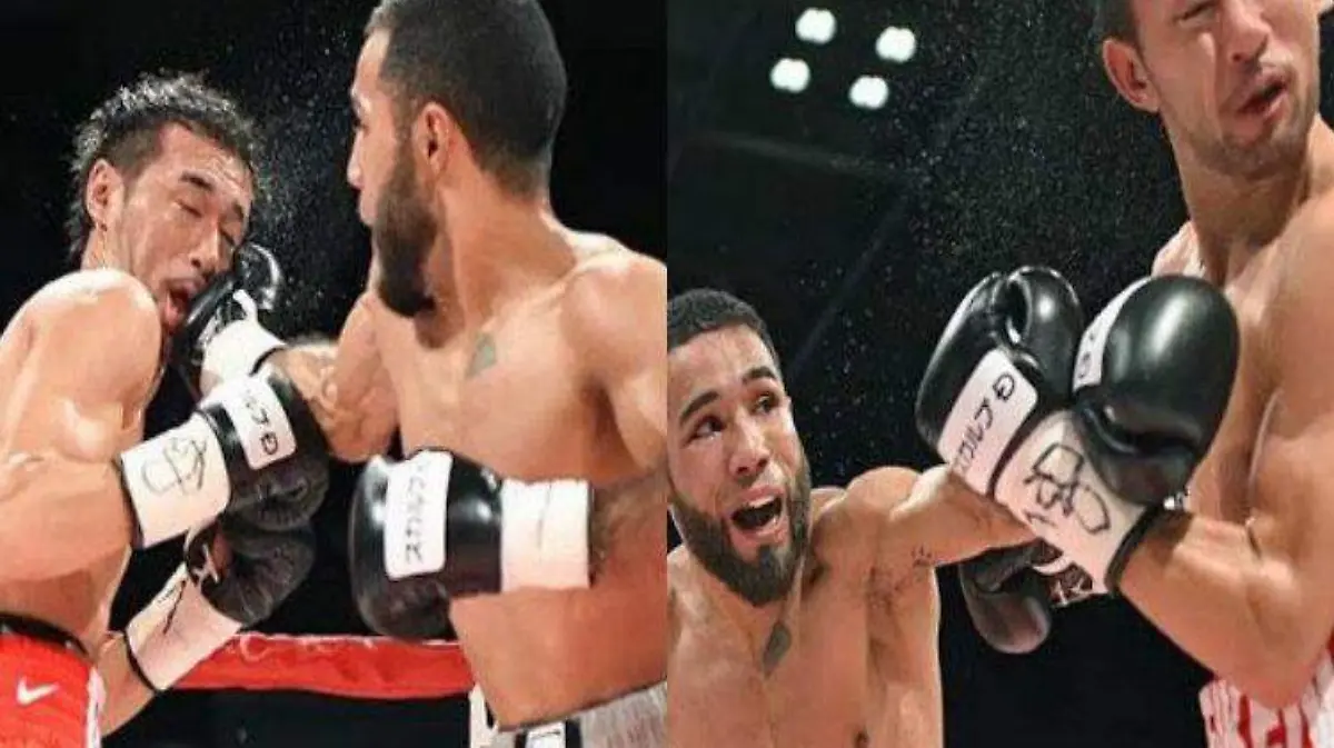 collage Pantera Nery