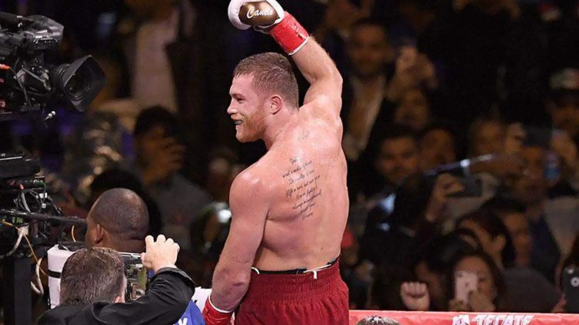 caneloalvarez