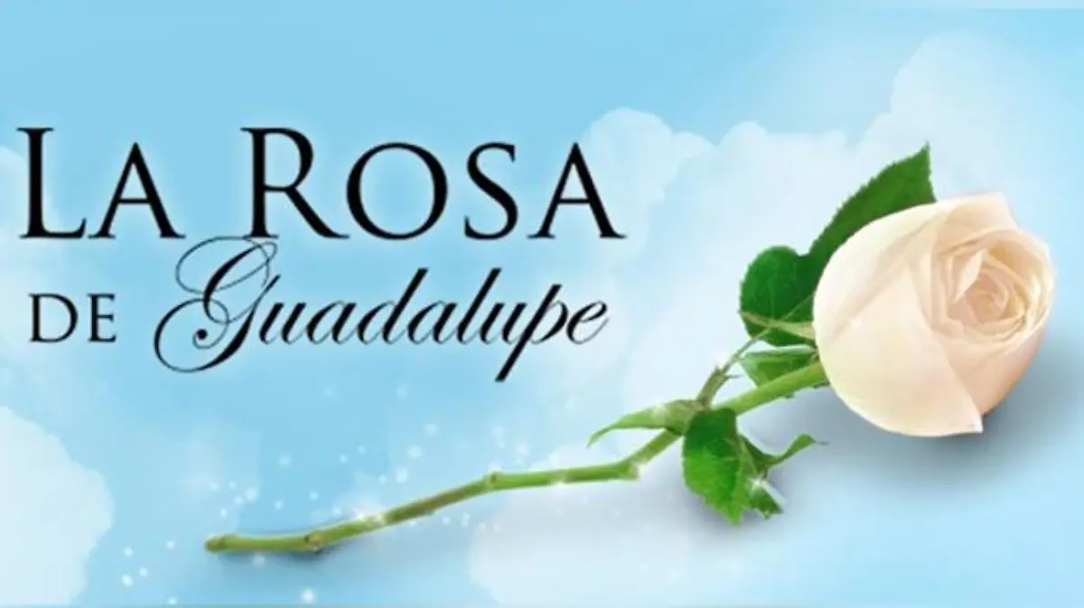 rosa-de-guadalupe