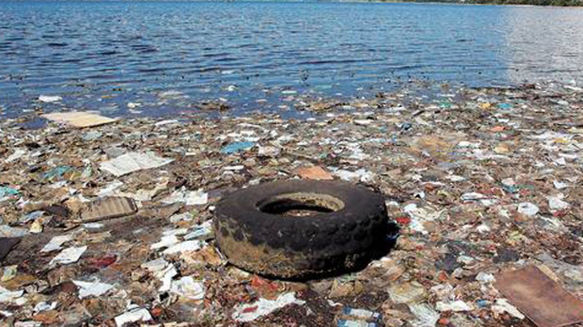 En una isla contaminada de Rio, un ecologista brasileño sueña con un  milagro - El Sol de México | Noticias, Deportes, Gossip, Columnas