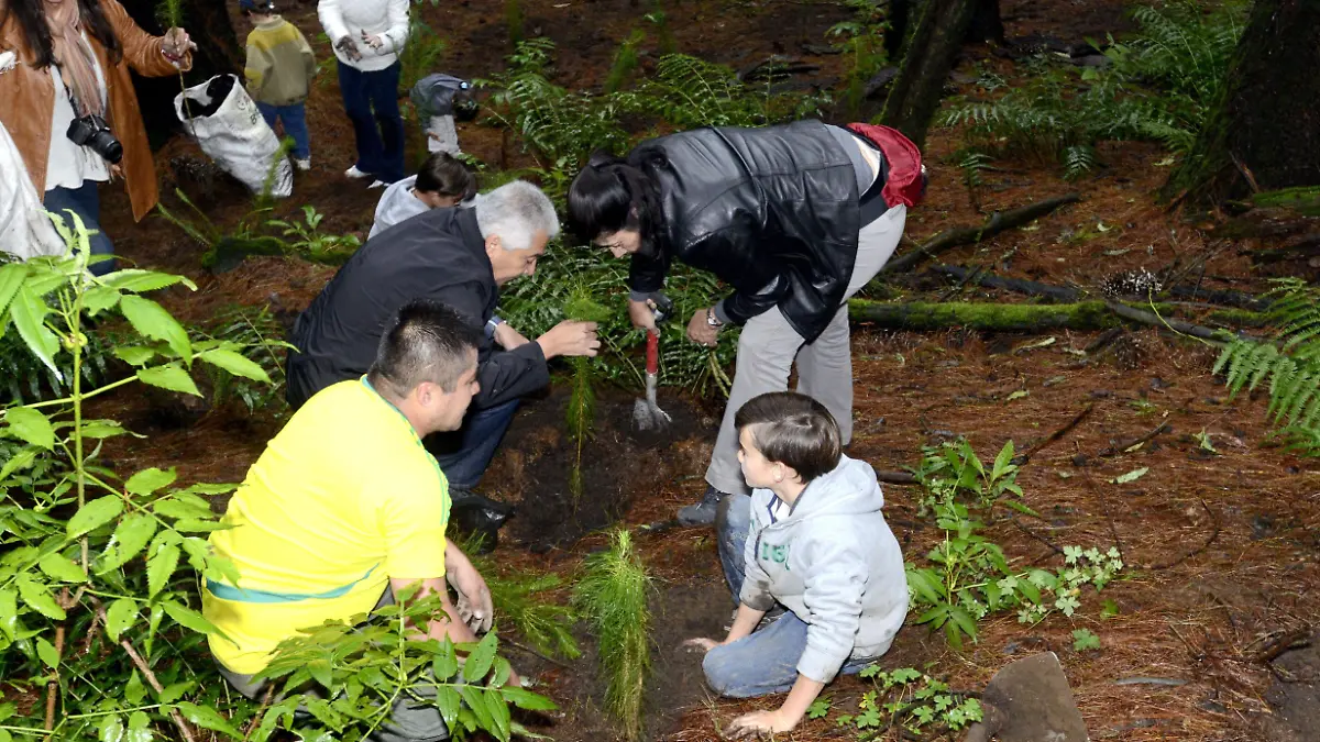 02 INT GRANDE PLANTAR ARBOLES- ARCHIVO EL SOL DE MÉXICO (4)
