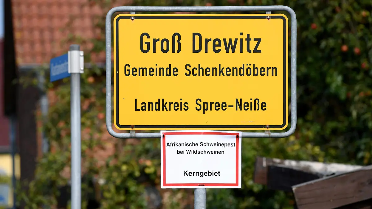 caza-gabalí-alemania-reuters