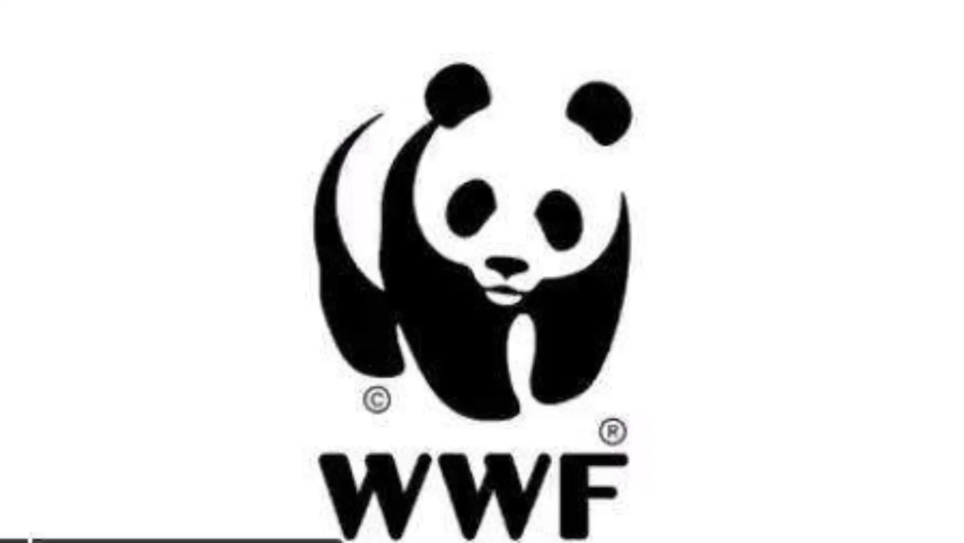 wwf-logo-panda