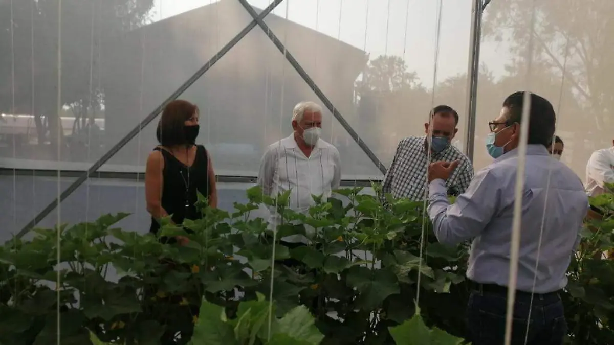 Silos bolsa sader CORTESIA