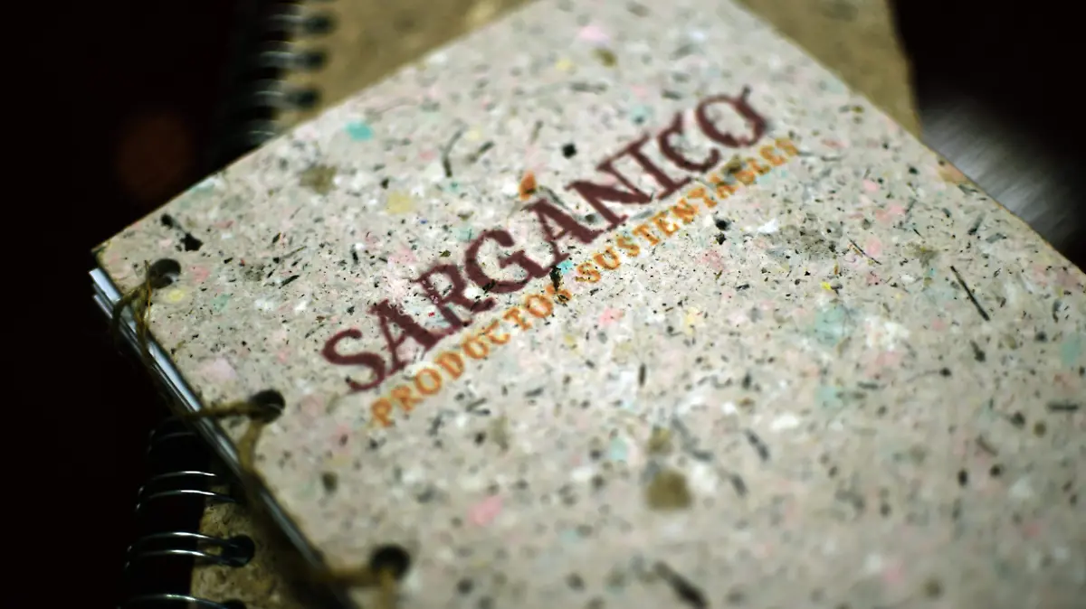 sargazo AFP (4)