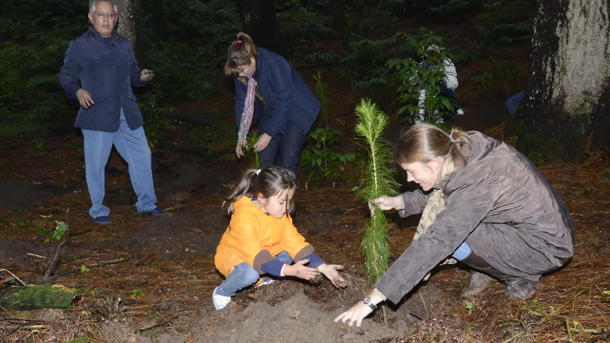 03 INT CHICA PLANTAR ARBOLES- ARCHIVO EL SOL DE MÉXICO (3)