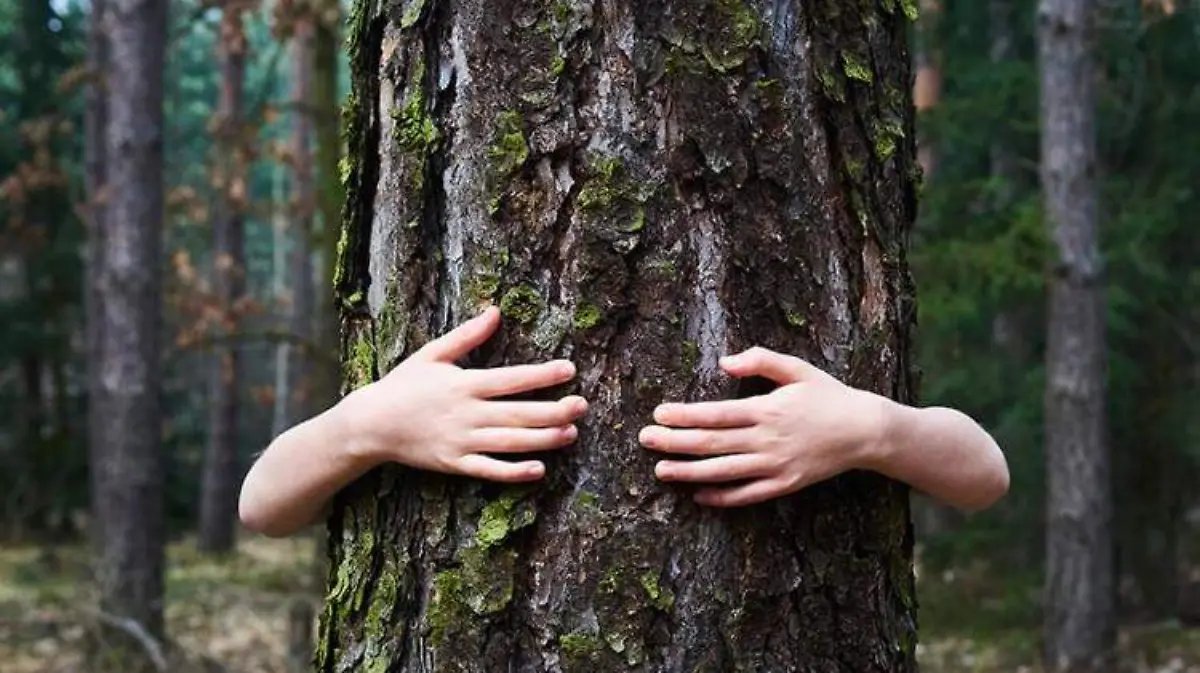 objetivos de la Agenda para el Desarrollo Sostenible 2030