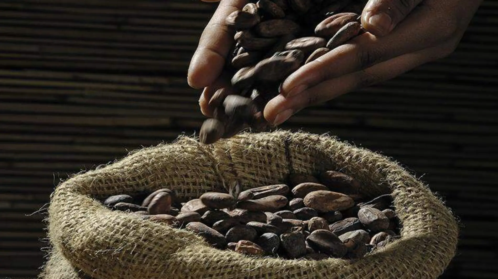 CACAO