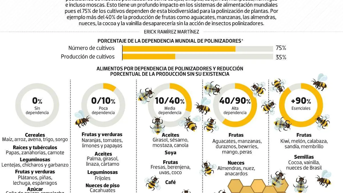 #Dta | Por qué hay qué cuidar a las abejas