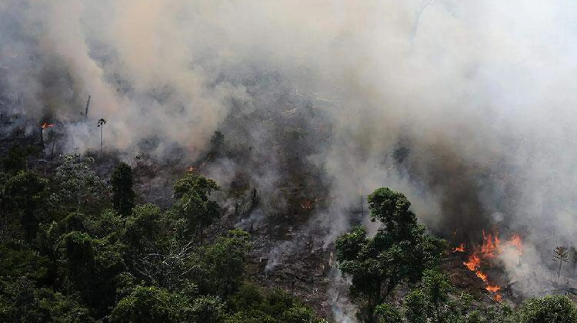 Amazonas_incendio1