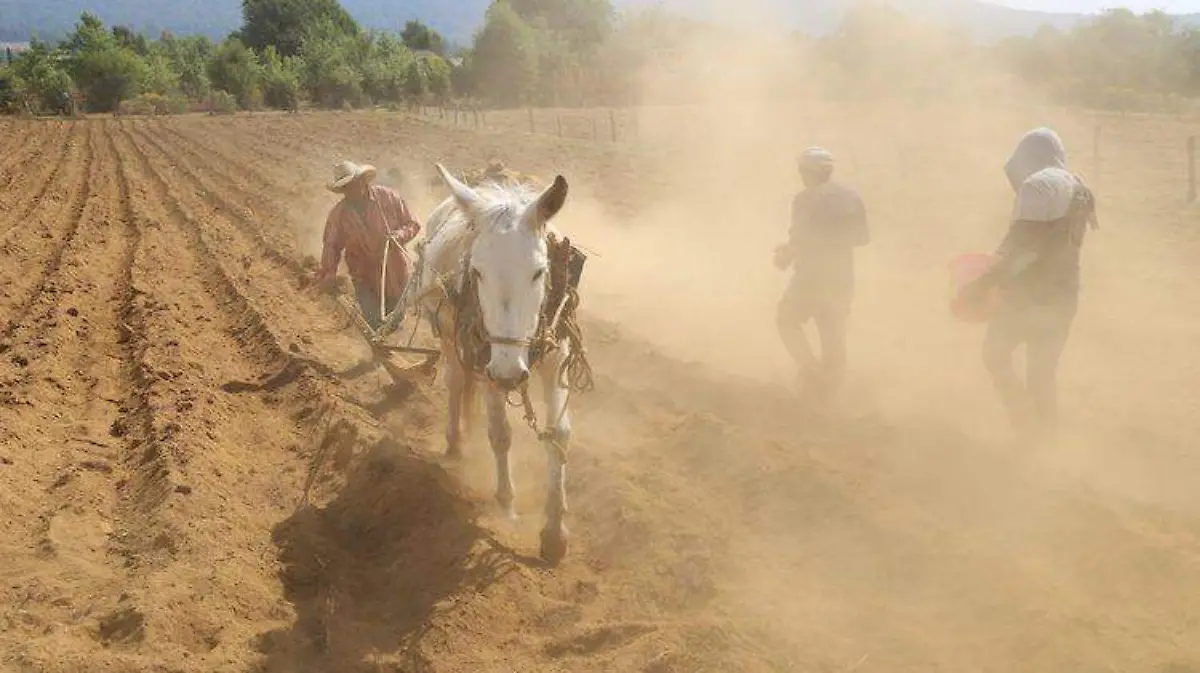 Desertificación