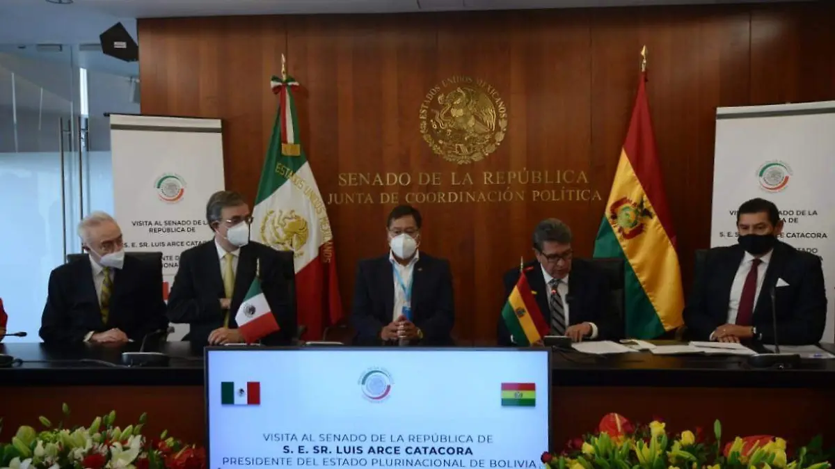 presidente bolivia senado LAURA LOVERA