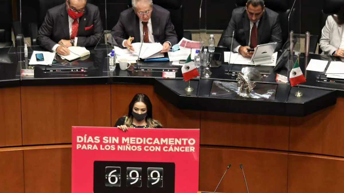 senado jorge alcocer ROBERTO HERNANDEZ