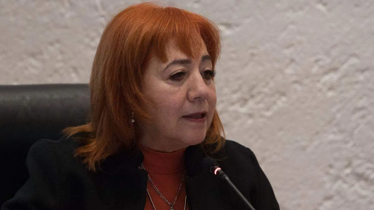 Rosario Piedra comparecerá ante el Senado el 7 de diciembre