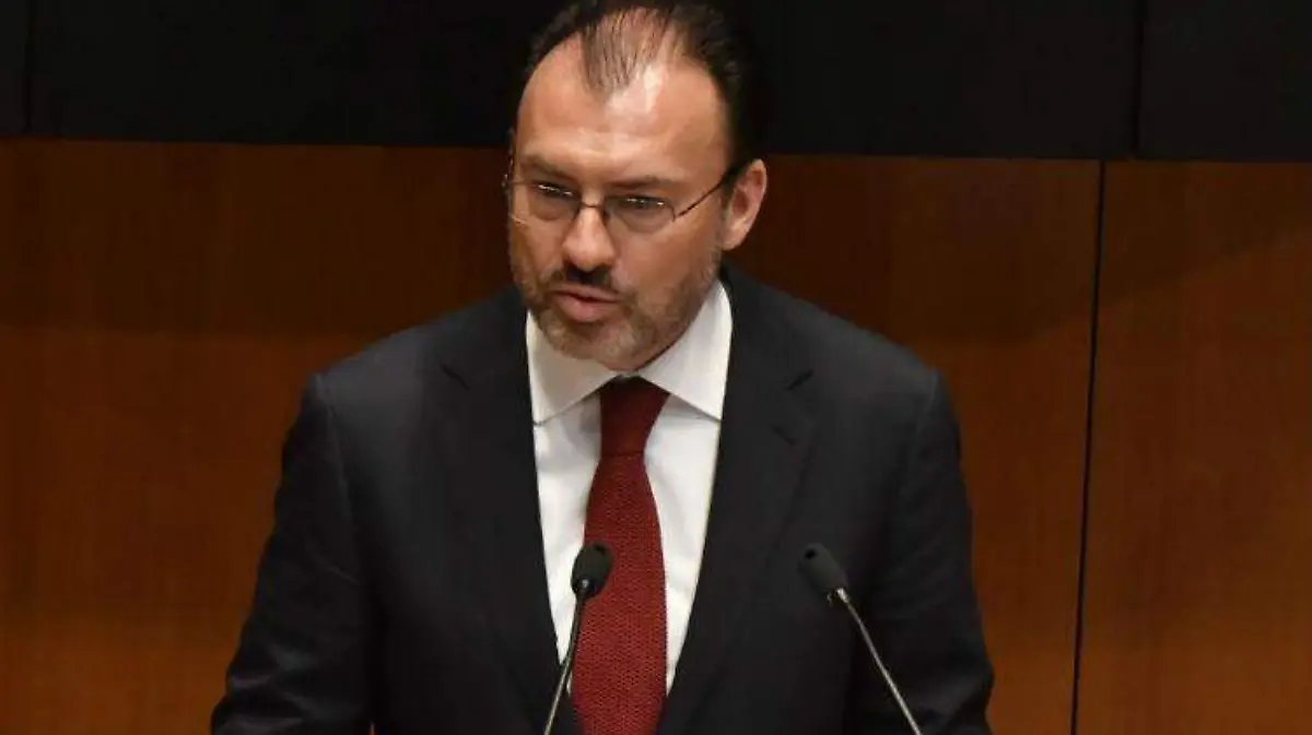 laura lovera-VIDEGARAY