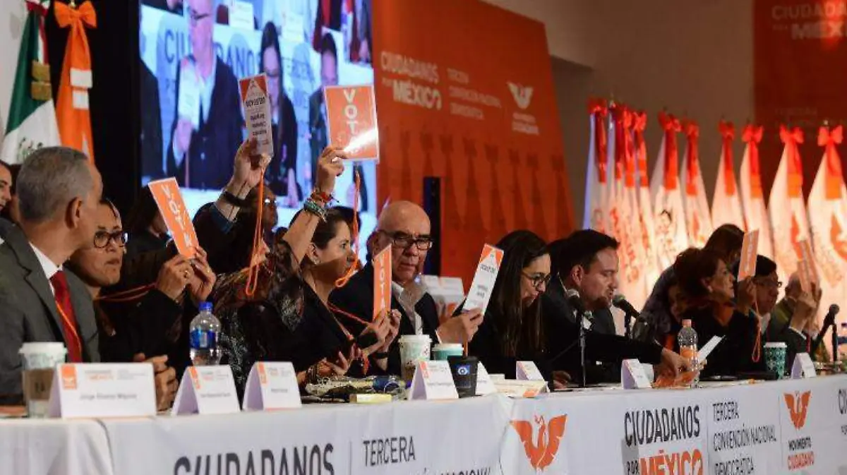 movimiento ciudadano - LAURA LOVERA