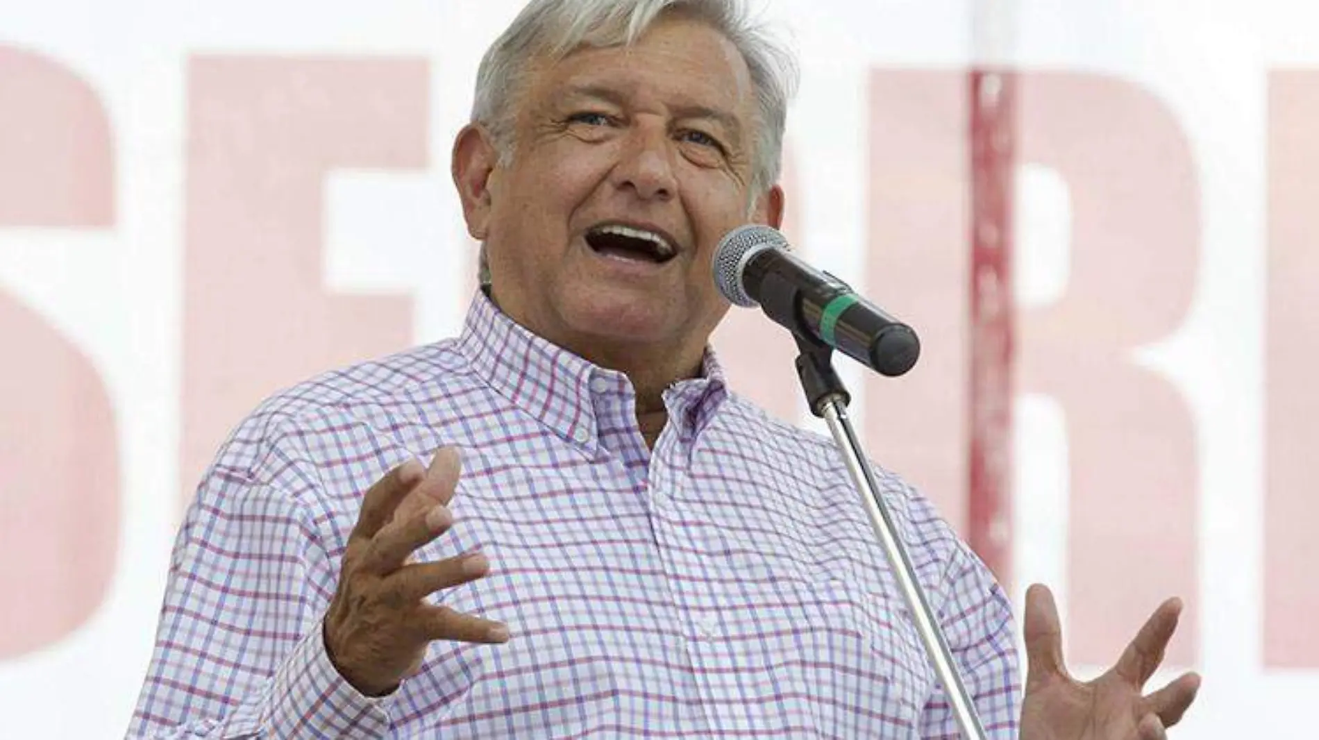 amlo