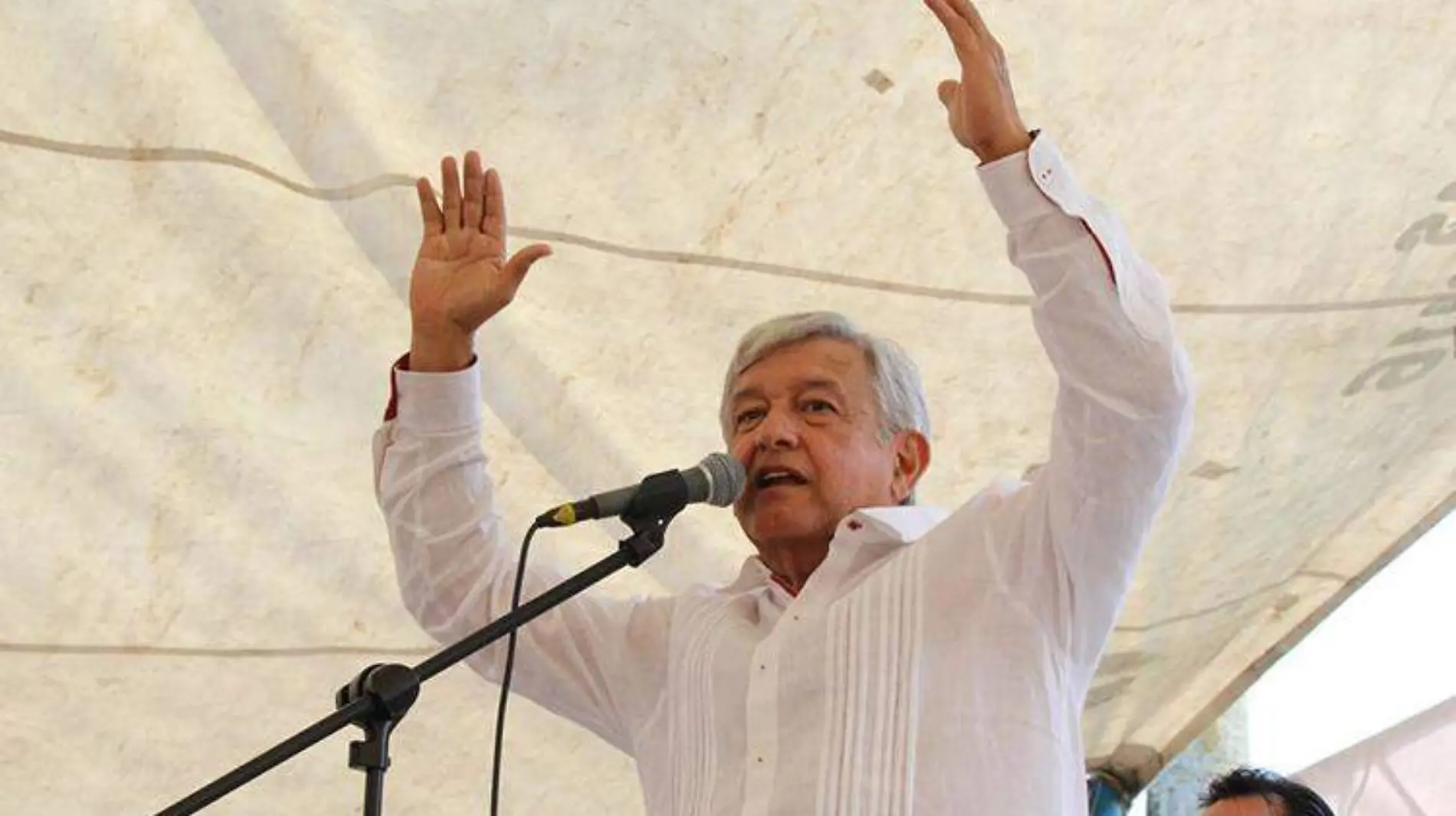 amlo