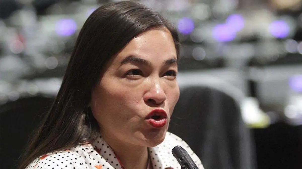 diputada-Verónica-Juárez