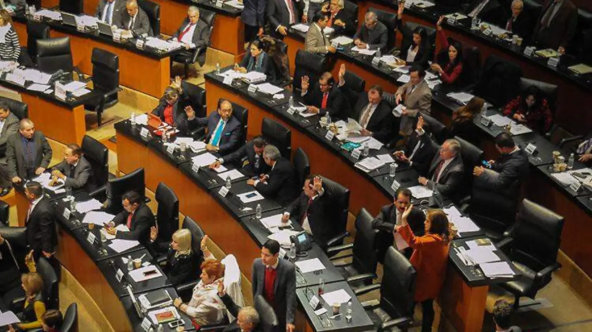 senado