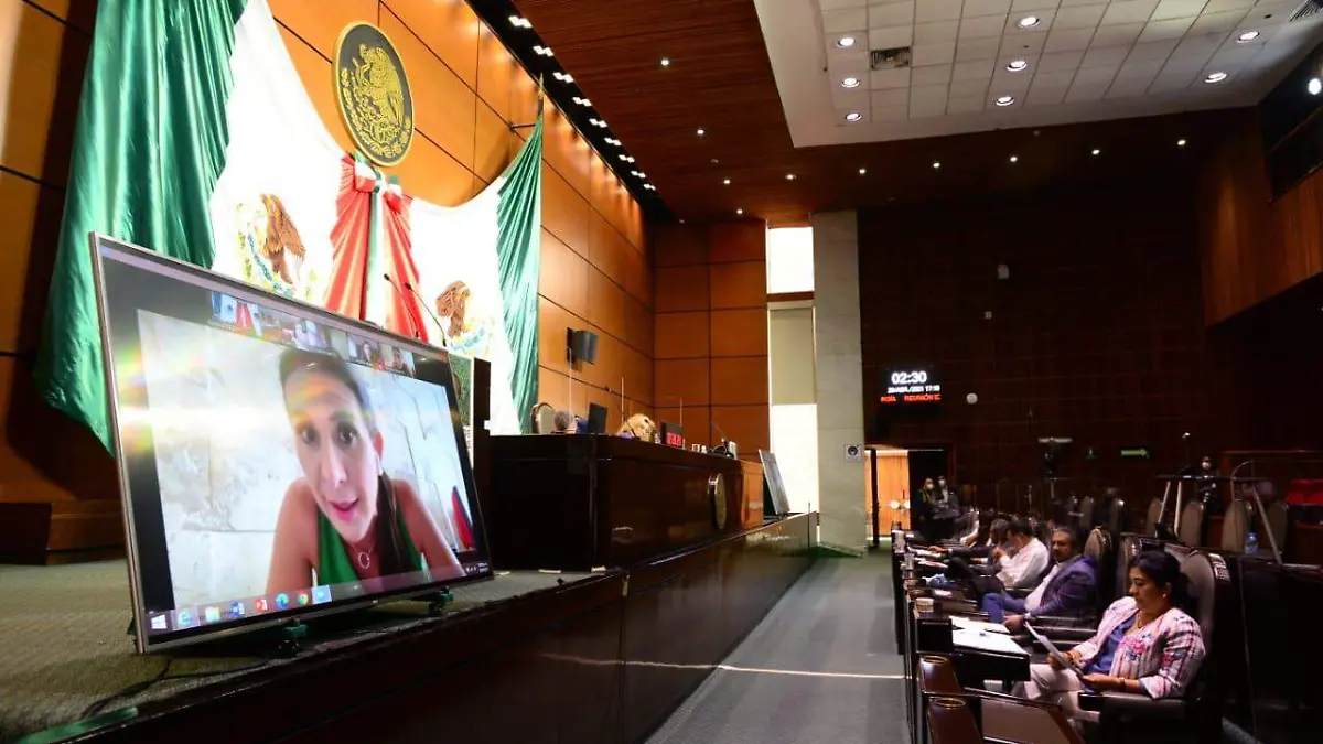 comision de energia LAURA LOVERA