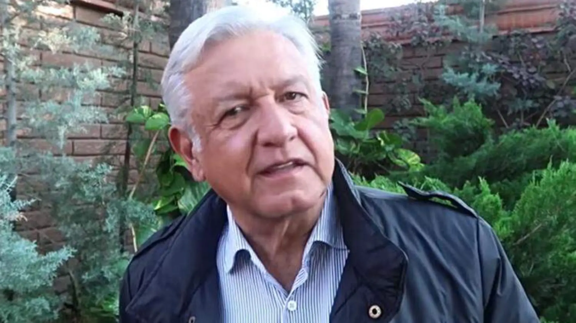 amlo