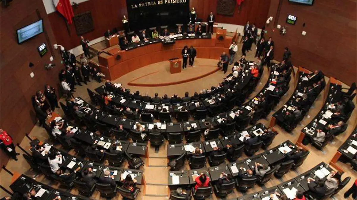 senado