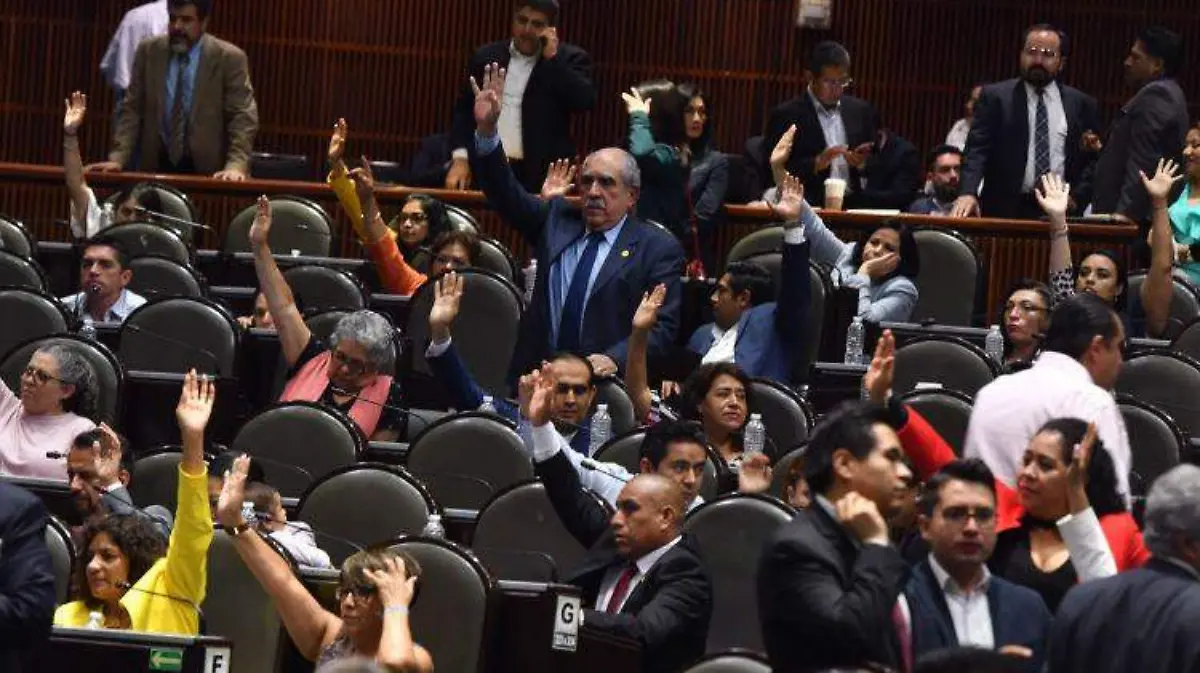 diputados austeridad LAURA LOVERA