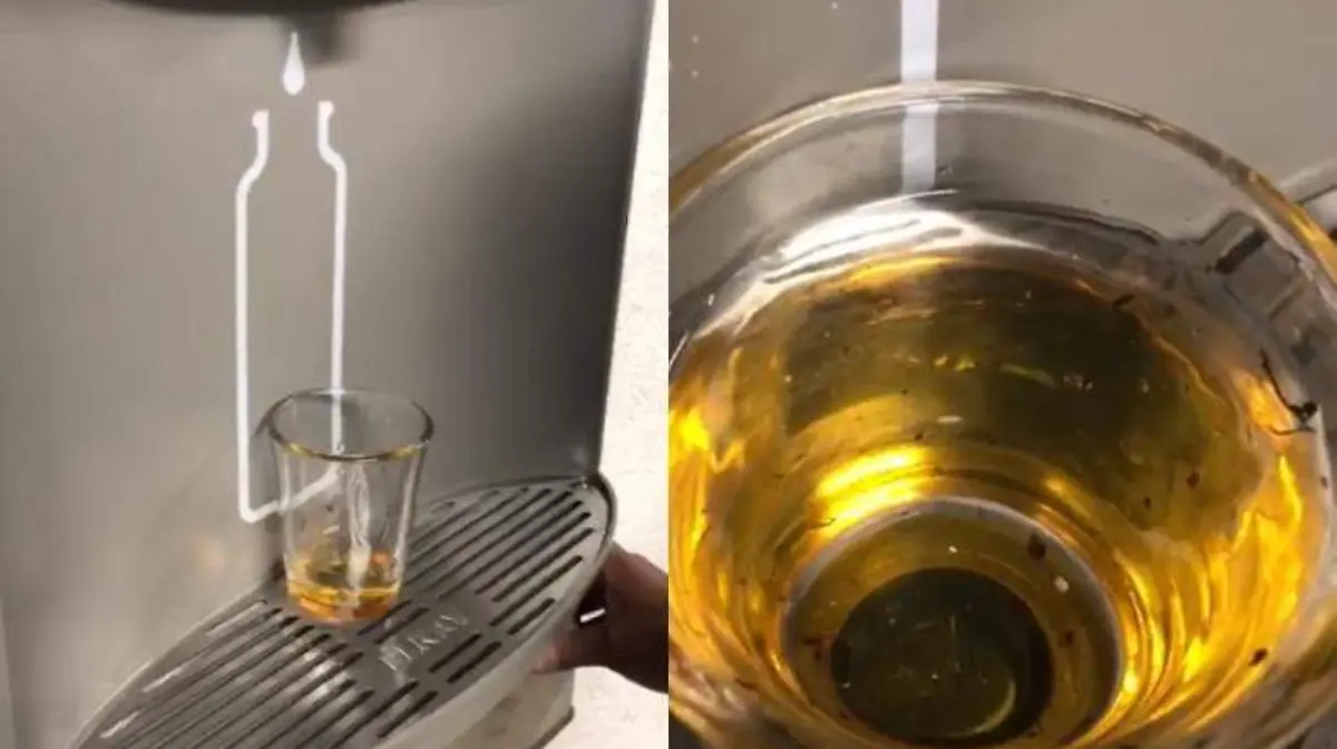 Agua bebederos Cámara de Diputados