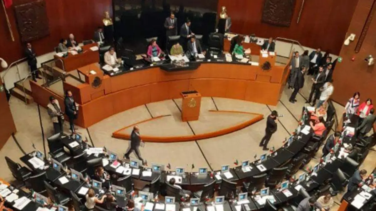 senado