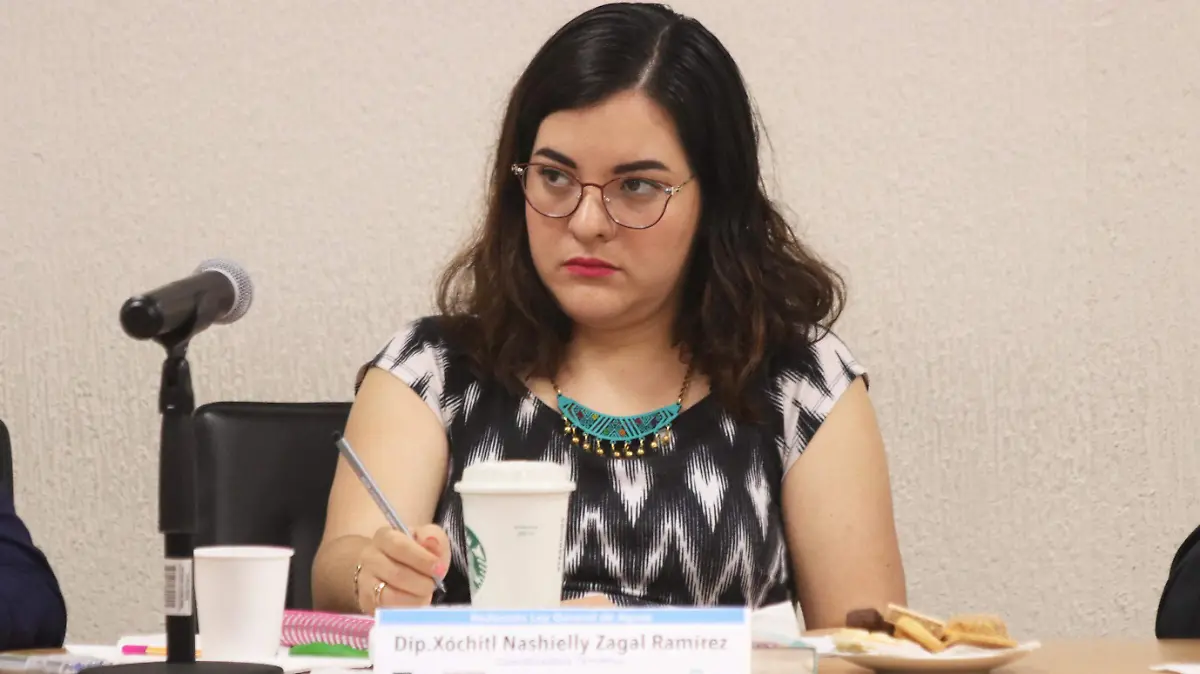Xochitl Nashielly Zagal Ramirez-Diputada-Ley General de Aguas (3)