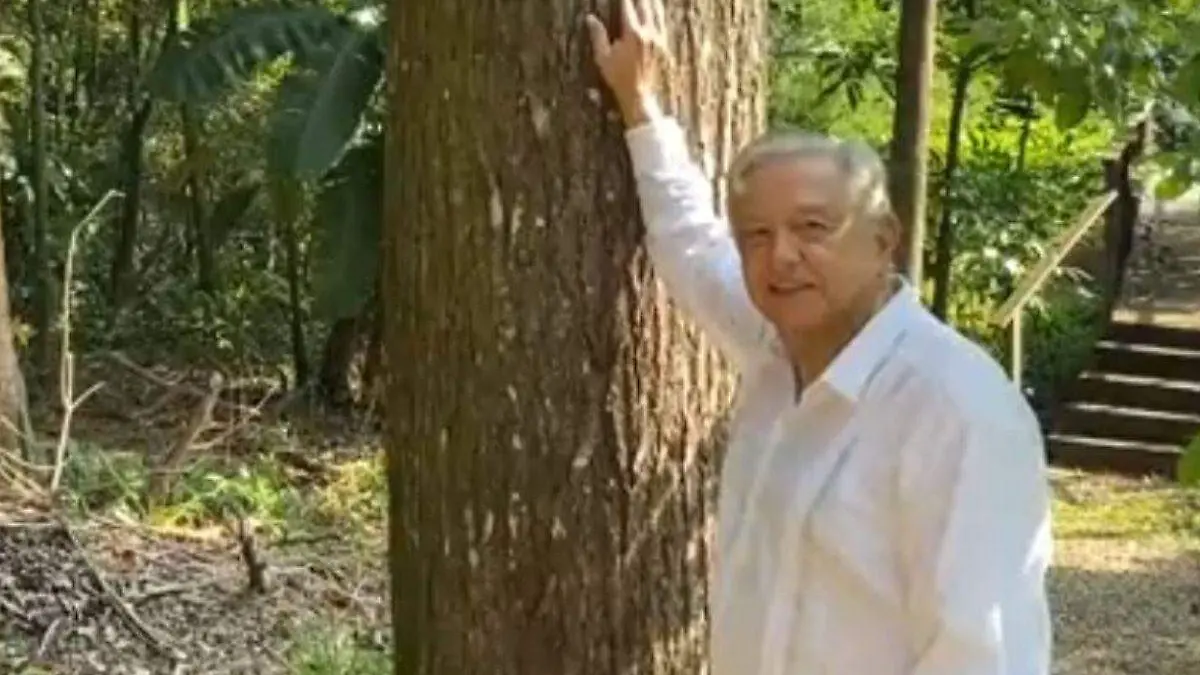 Diseño sin título (4)