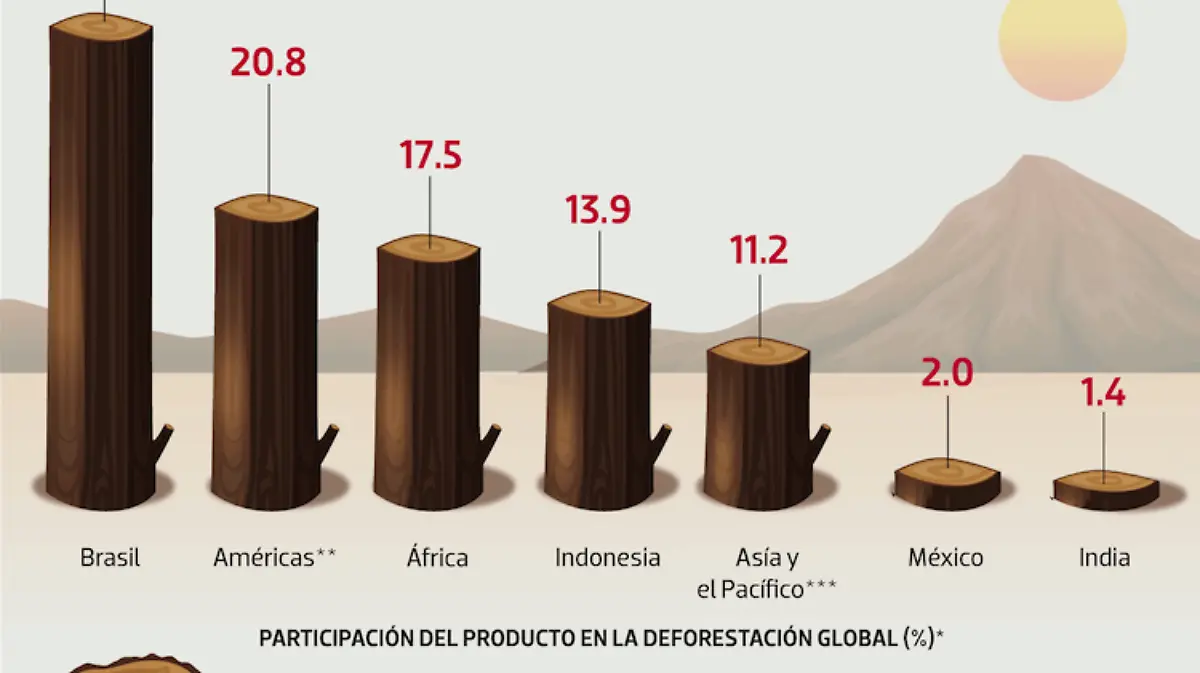 Gráfico Deforestación en México