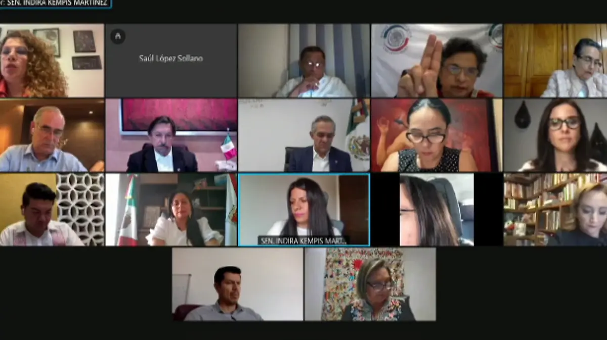 comisiones senado hidrocarburos CAPTURA