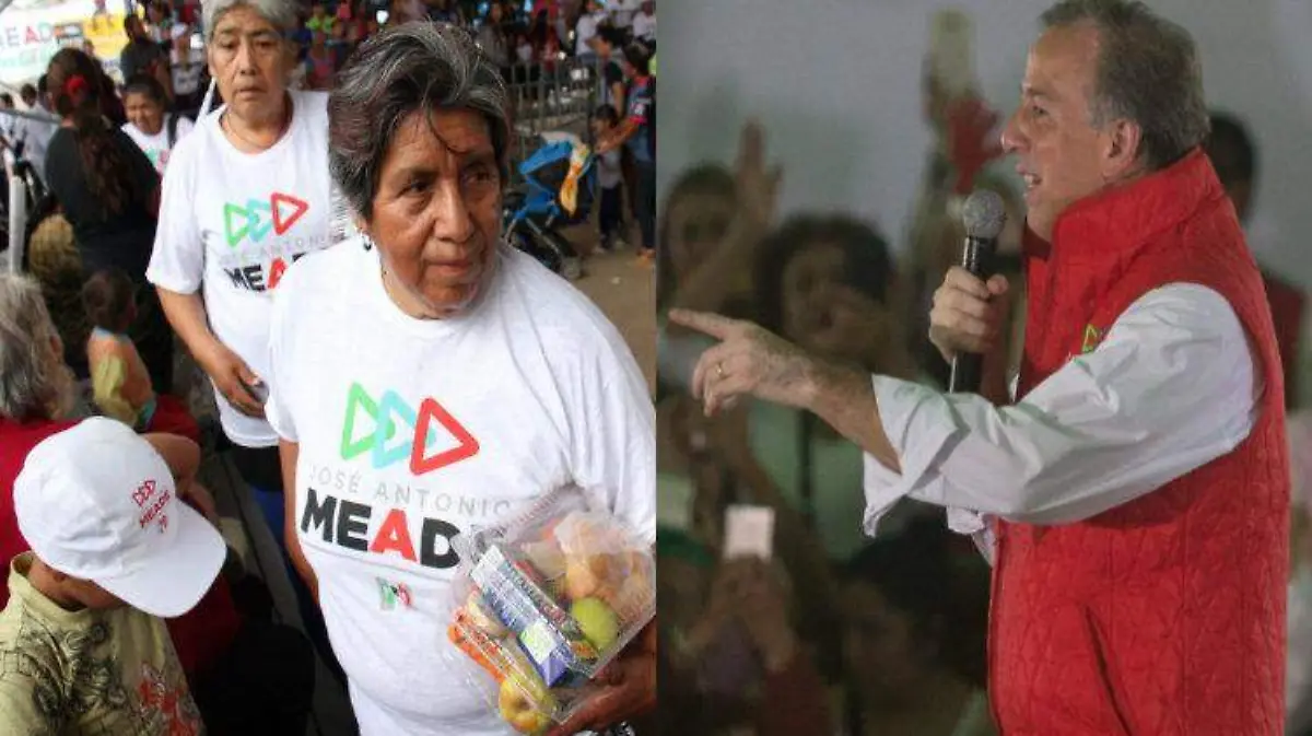 collage Meade CUARTOSCURO