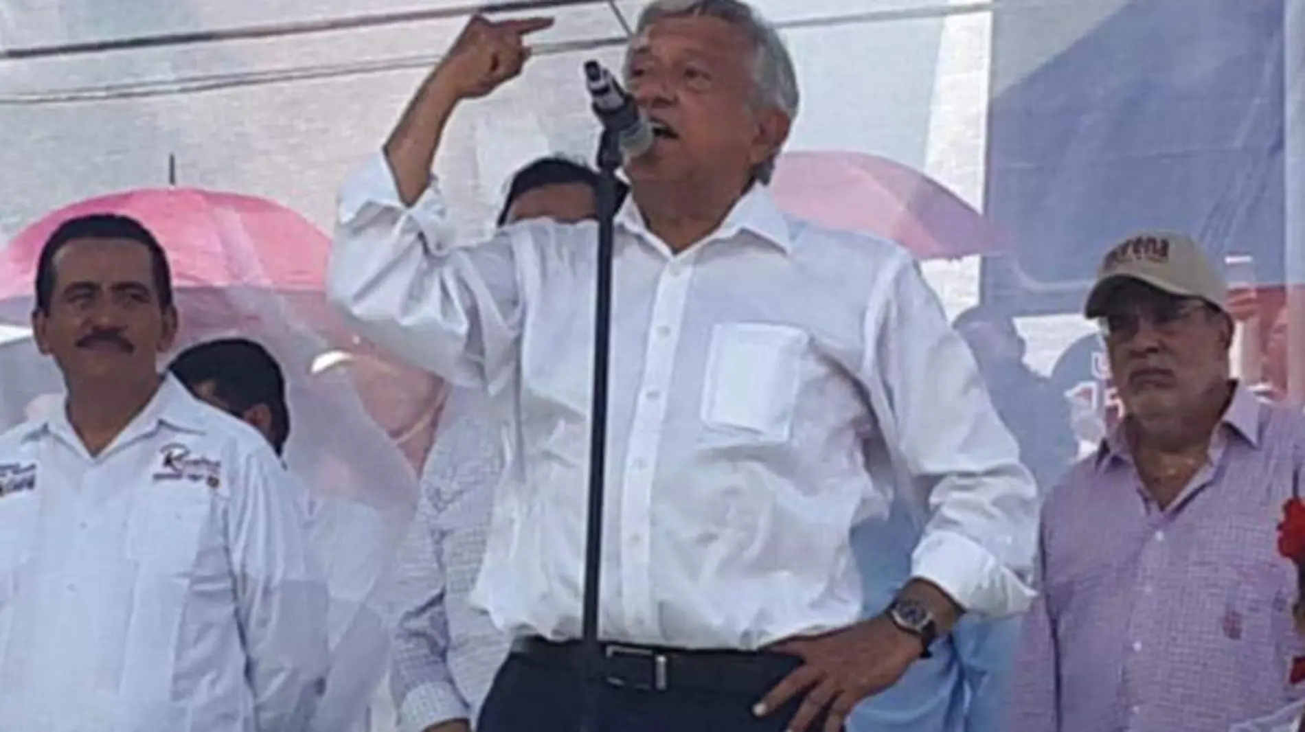 amlo