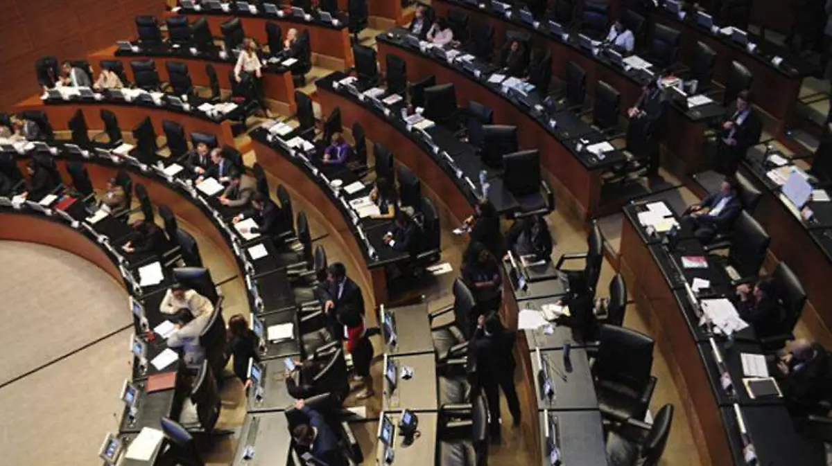 senado