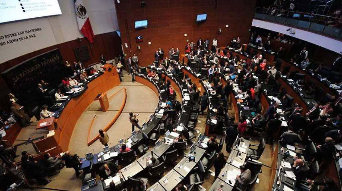 senado