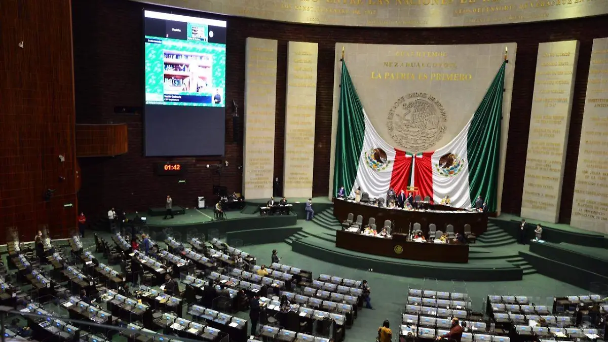 diputados ciberseguridad LAURA LOVERA