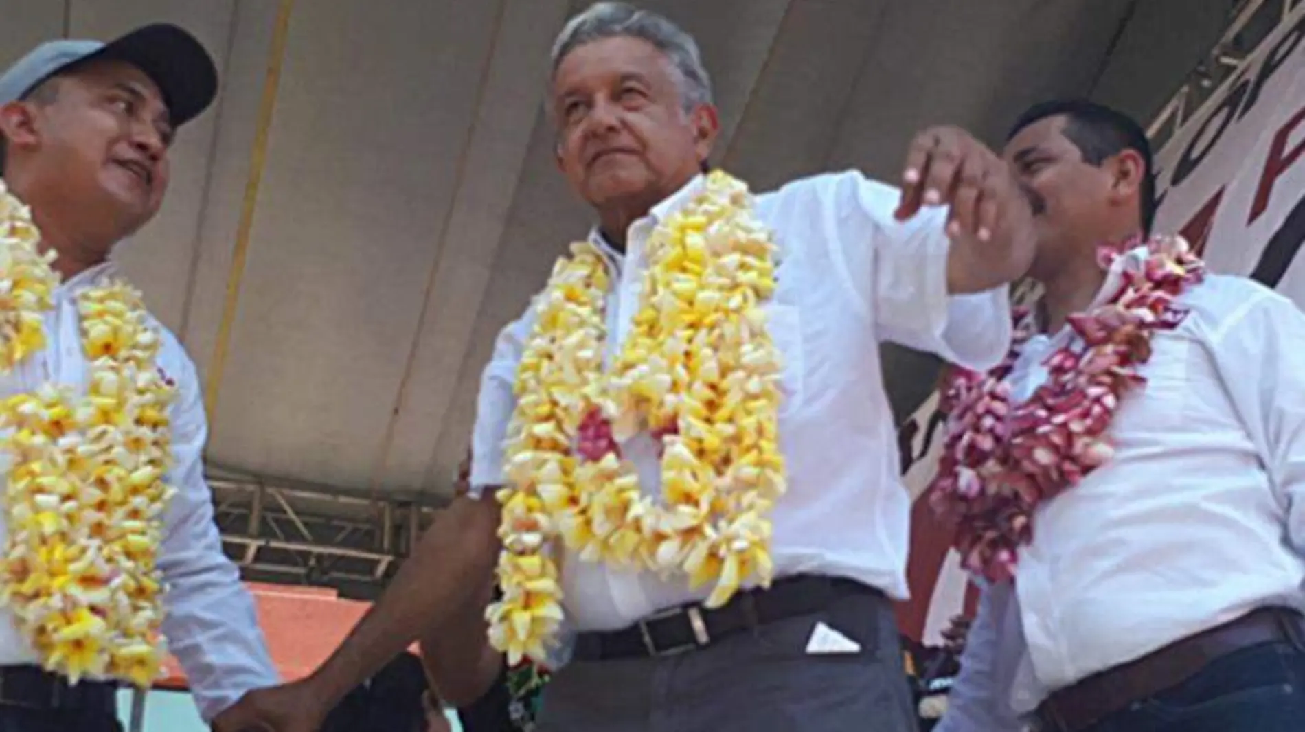 amlo